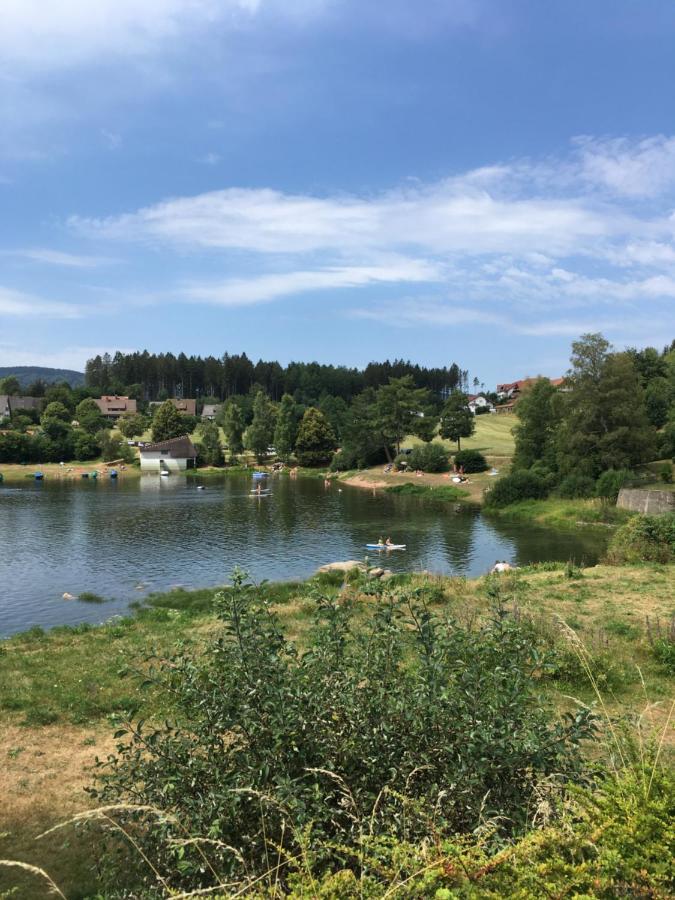 Zu Hause Am See - Pool, Sauna, Fitnessraum Schluchsee Buitenkant foto